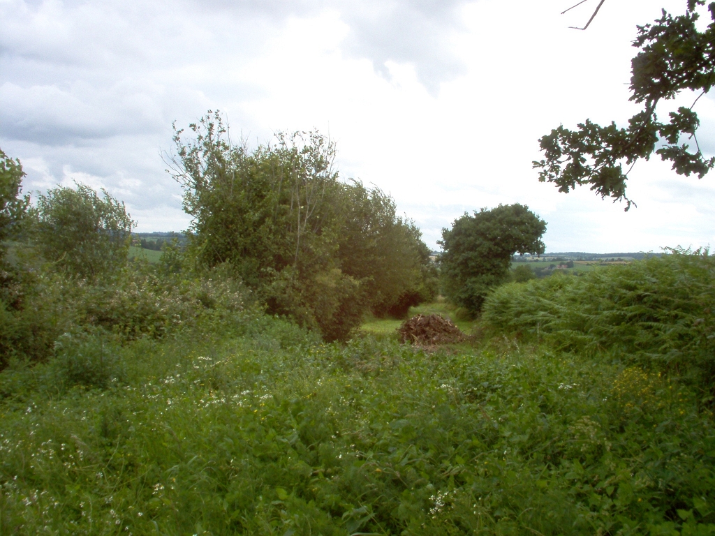 20110000 LA PAVÉE Pont-Farcy 13.jpg - IM000273.JPG